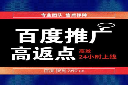 成功案例：网络推广与竞价广告的完美结合